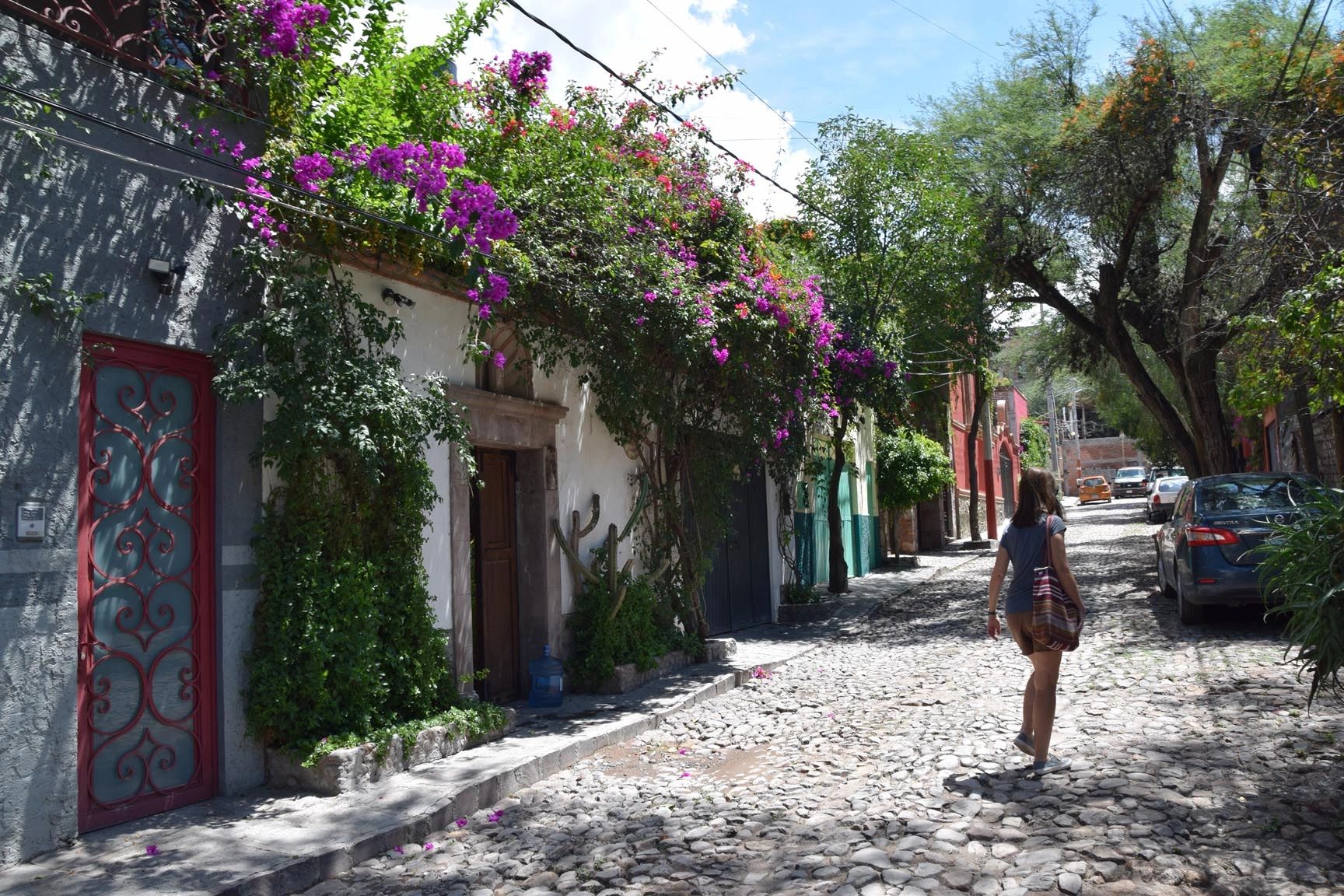 Cobblestone street with bougainvillea